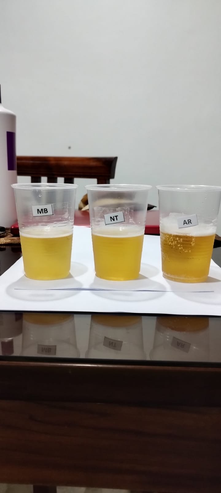 CLT — Central Location Test ejecutado por SCM en Centroamérica